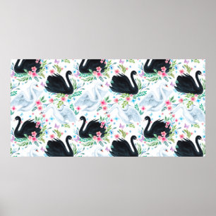 Affiche Aquarelle blanc et noir lac de cygne transparent p