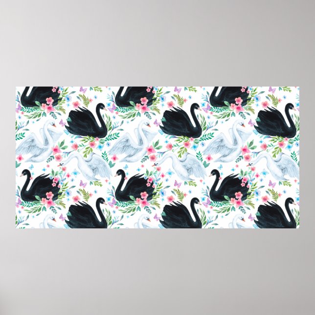 Affiche Aquarelle blanc et noir lac de cygne transparent p (Devant)