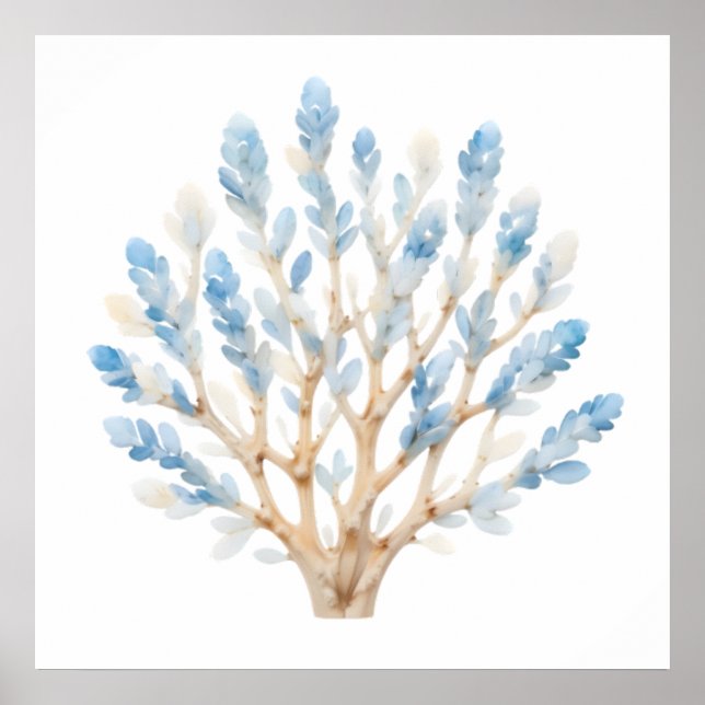 Affiche Aquarelle bleu et blanc Corail - Pépinière côtière (Devant)