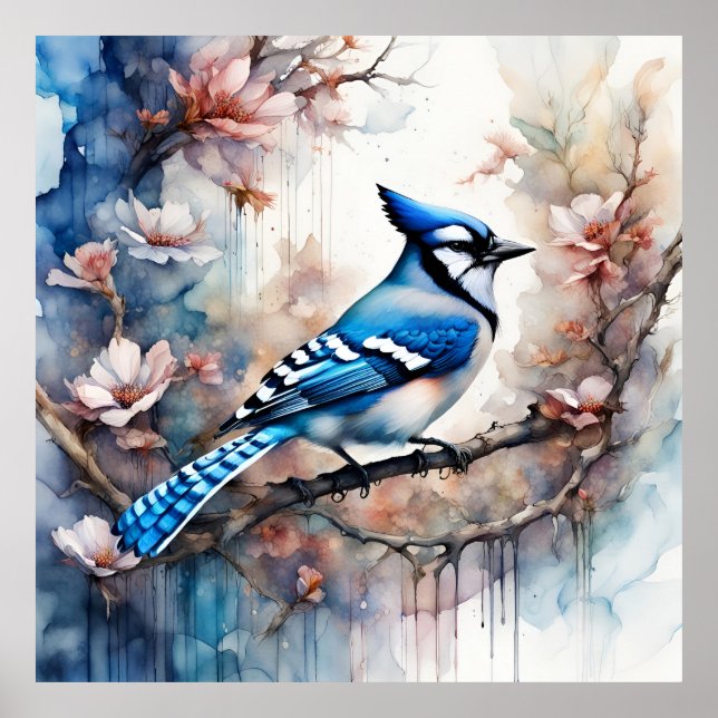 Affiche Aquarelle bleu Jay Cherry Blossoms (Devant)