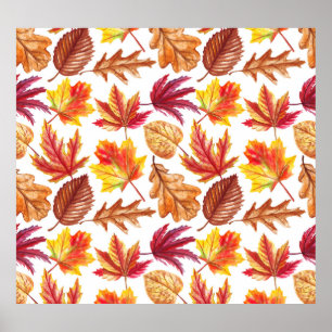 Affiche Aquarelle botanique d'automne, composition transpa
