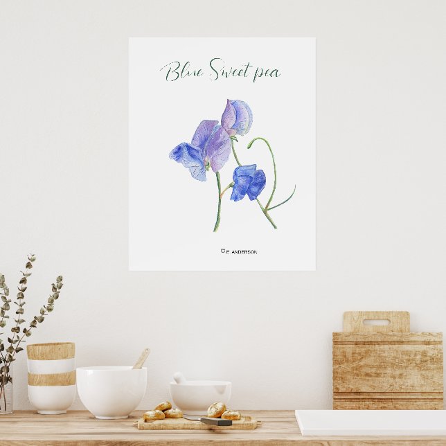 Affiche Aquarelle botanique de fleurs douces bleues (Cuisine)