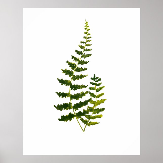 Affiche Aquarelle botanique Feuille verte de Ferne Nature (Devant)