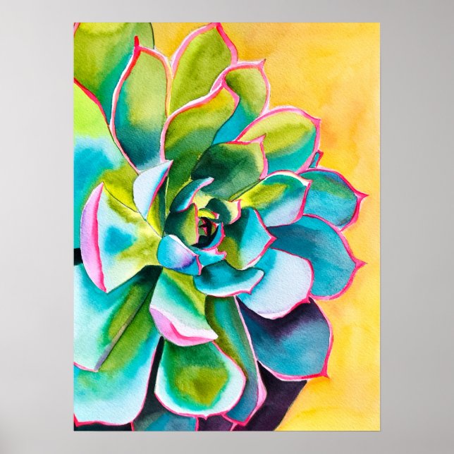 Affiche Aquarelle botanique succulent (Devant)