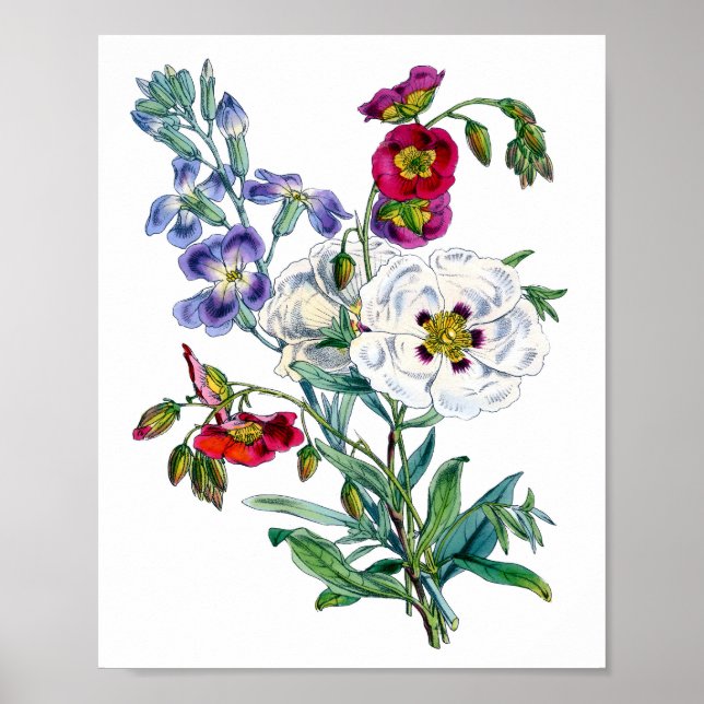 Affiche Aquarelle Bouquet vintage (Devant)