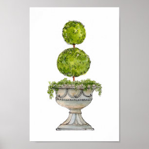 Affiche Aquarelle Boxwood topiaire en urn antique