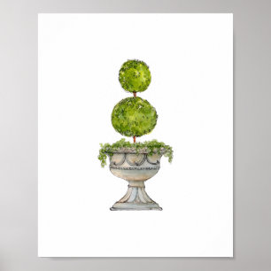 Affiche Aquarelle Boxwood topiaire en urn antique