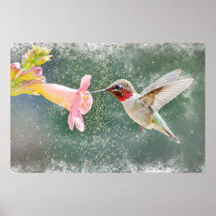 Affiche Aquarelle brillante pour le nectar des colibris