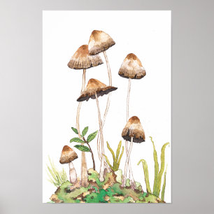 Affiche Aquarelle Brown de champignons forestiers