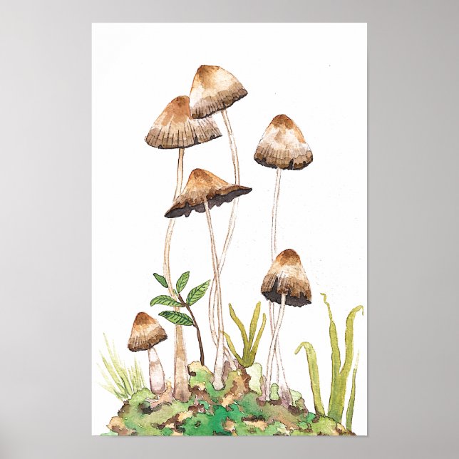 Affiche Aquarelle Brown de champignons forestiers (Devant)