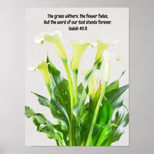 Affiche Aquarelle Calla Lily Fleurs Bible Verse Art