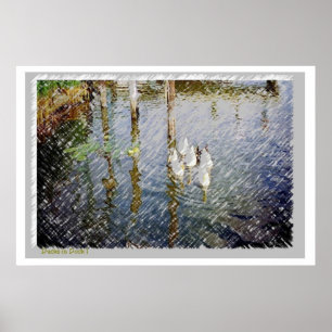 Affiche Aquarelle Canards Imprimer