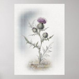 Affiche aquarelle Chardon Écossais Violet