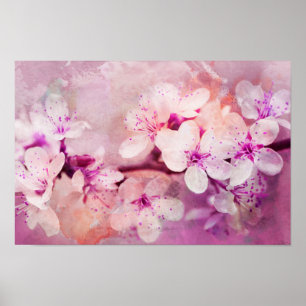 Affiche Aquarelle Cherry Blossom