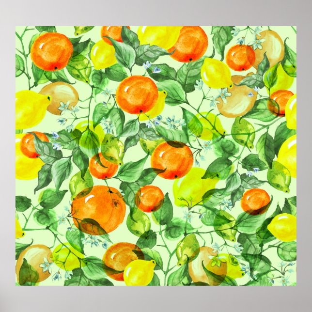 Affiche Aquarelle citrons, fleurs, agrumes motif. (Devant)