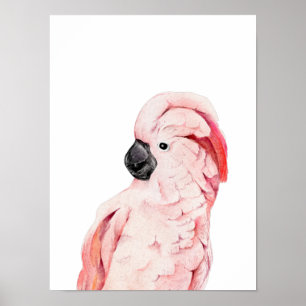 Affiche Aquarelle Cockatoo rose Moluccan