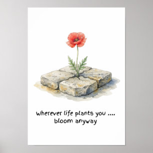 Affiche Aquarelle Coquelicot Où que la vie vous plante