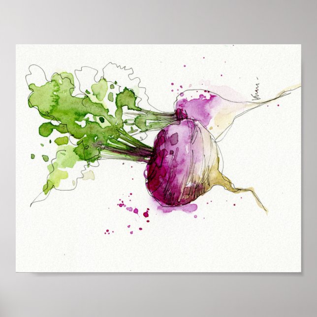 Affiche Aquarelle Cuisine végétale art, Turnip (Devant)