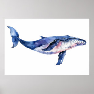 Affiche Aquarelle de baleine