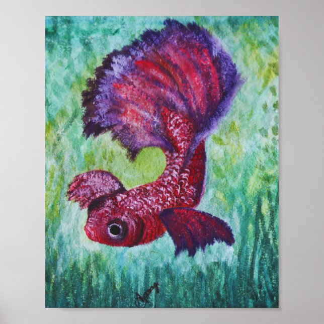 Affiche Aquarelle de Betta fish (Devant)