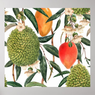 Affiche Aquarelle de durian tropical, motif de mangue.