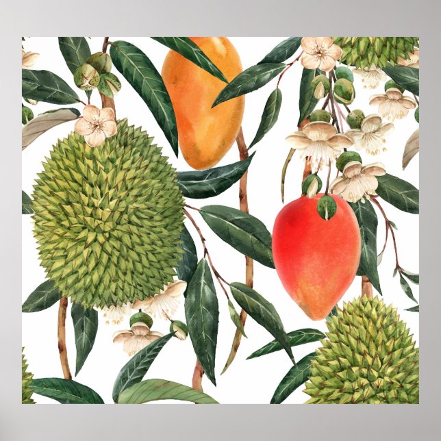 Affiche Aquarelle de durian tropical, motif de mangue. (Devant)