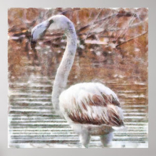Affiche Aquarelle de Flamant rose exotique