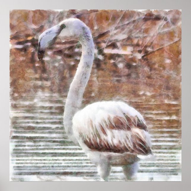 Affiche Aquarelle de Flamant rose exotique (Devant)