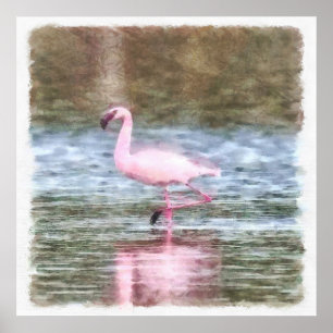 Affiche Aquarelle de Flamant rose inférieure
