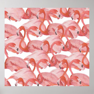 Affiche Aquarelle de Flamant rose : Motif transparent