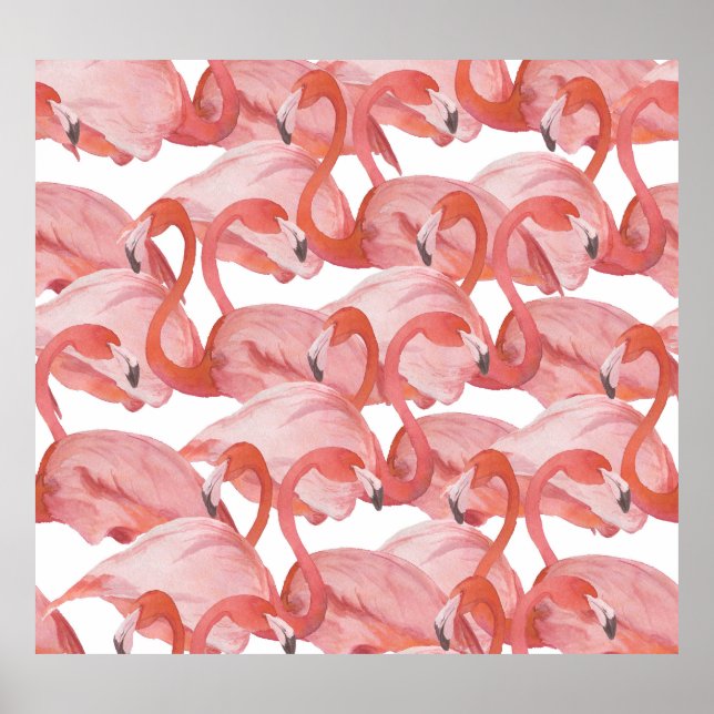 Affiche Aquarelle de Flamant rose : Motif transparent (Devant)