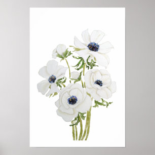 Affiche aquarelle de fleur d'anémone blanc