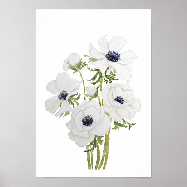 Affiche aquarelle de fleur d'anémone blanc (Devant)