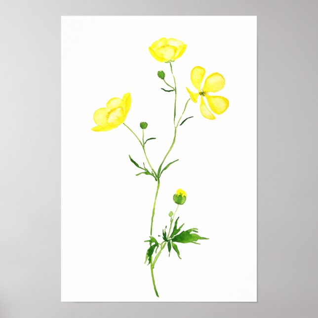 Affiche aquarelle de fleur de butte jaune (Devant)