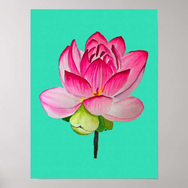 Affiche Aquarelle de fleur de lotte rose art (Devant)