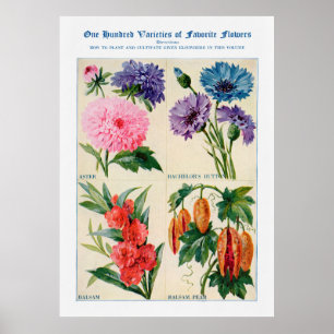 Affiche Aquarelle de fleurs
