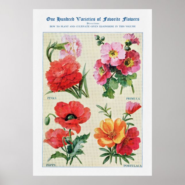 Affiche Aquarelle de fleurs 3 (Devant)