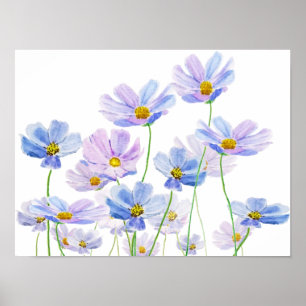 Affiche aquarelle de fleurs cosmos pourpre et bleu