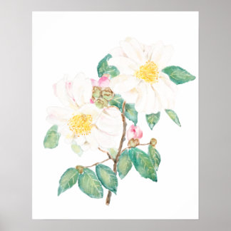 Affiche aquarelle de fleurs de camélia blanc
