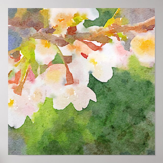Affiche Aquarelle de fleurs de cerises Sakura Printemps (Devant)