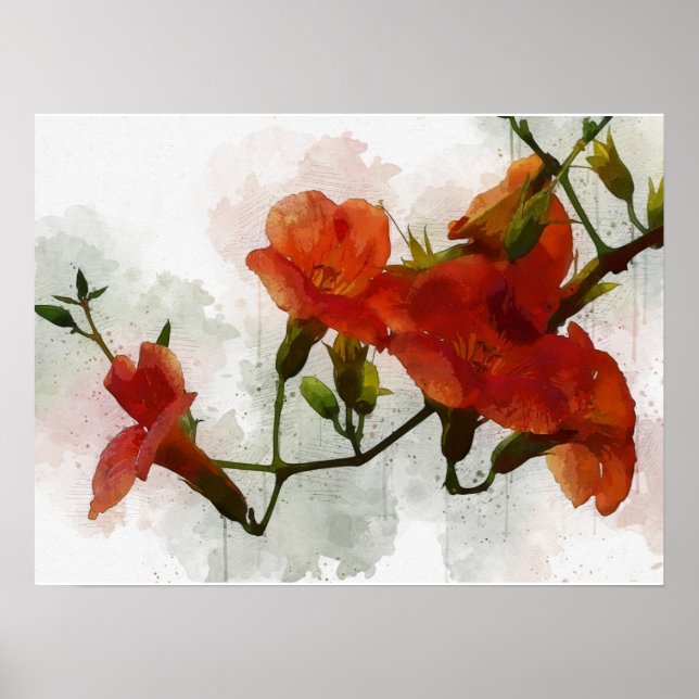 Affiche Aquarelle de fleurs rouges (Devant)