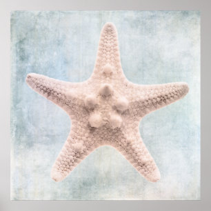 Affiche Aquarelle de la Crème Bleue du littoral en étoile