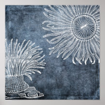 Aquarelle de l'anémone de mer Twilight bleu océan