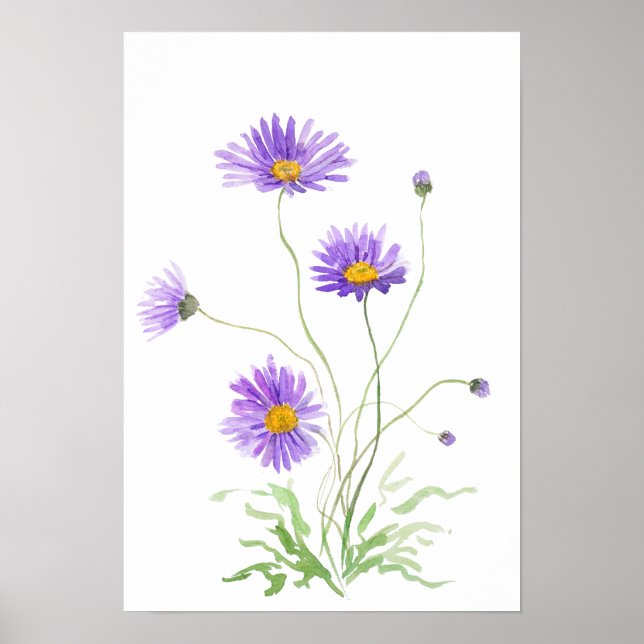 Affiche aquarelle de marguerite violette peinte à la main (Devant)