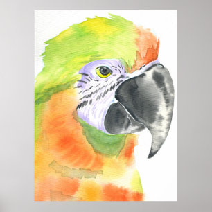Affiche Aquarelle de perroquet