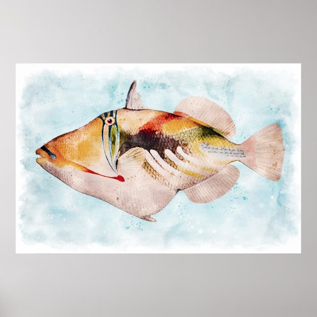Affiche Aquarelle de poisson-trigre hawaïen (Devant)