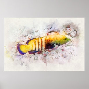 Affiche Aquarelle de poisson tropical hawaïen - Groupement