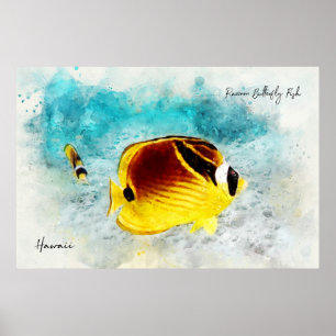 Affiche Aquarelle de poisson tropical hawaïen - Papillons