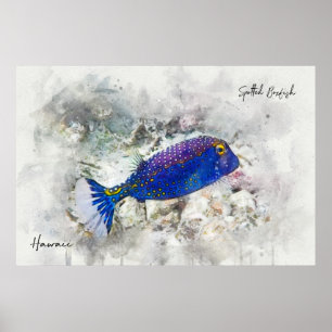 Affiche Aquarelle de poisson tropical hawaïen - Poisson-ta