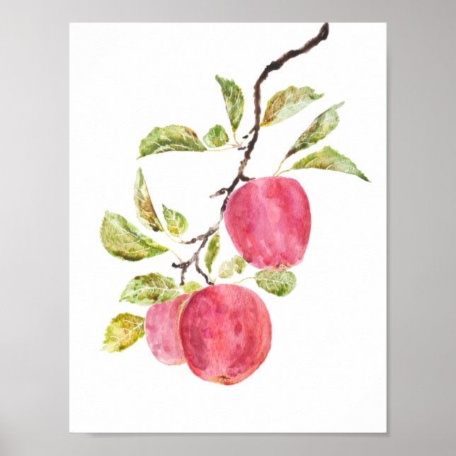 Affiche aquarelle de pomme rouge (Devant)